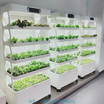 Diy Automation - Hydroponic Automated Grow SystemIntelligent Hydroponic Growing
