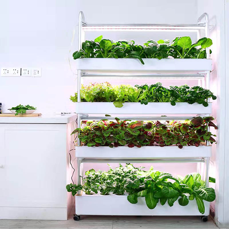 ydroponic Planting System Smar - Home Automation System Diy review and price